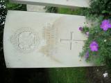 image number Singleton WP 05607